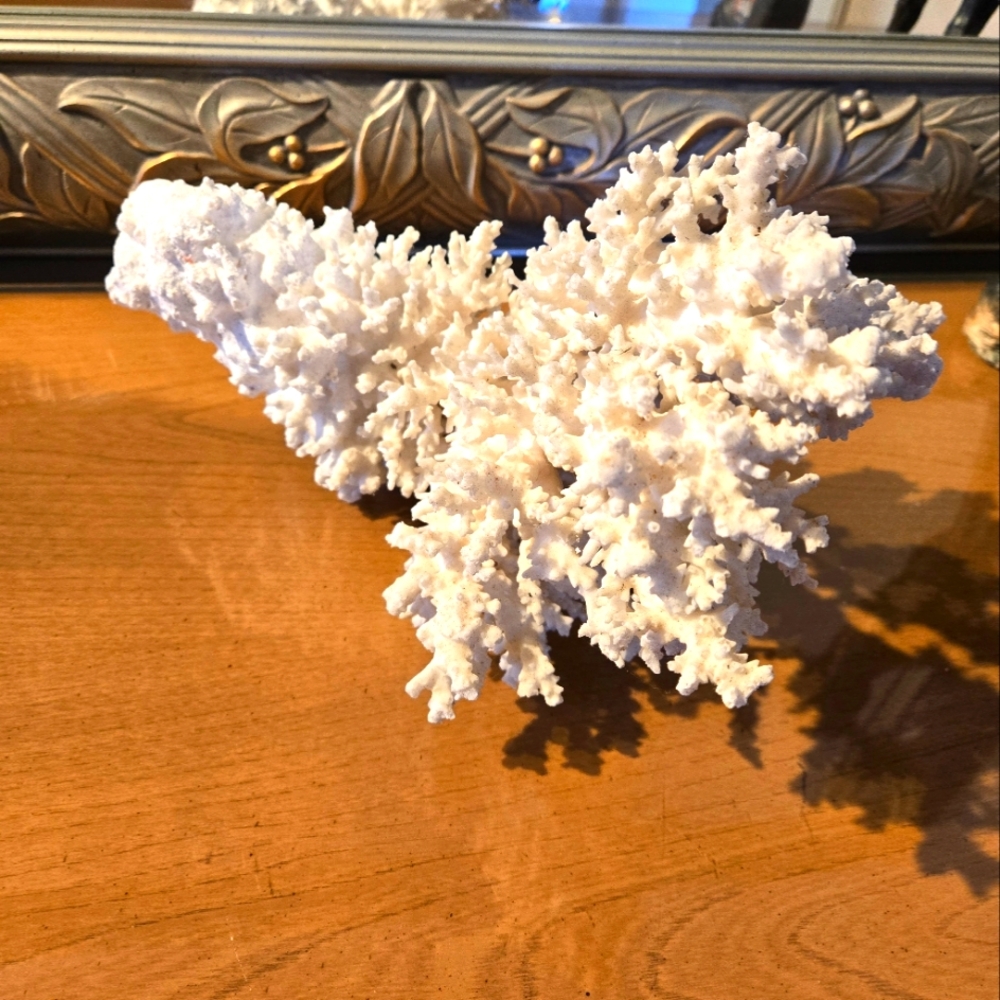 Elegant White Peruvian Coral Accent Piece